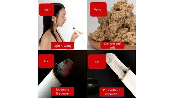 Revitaliza con Ai Tiao Los palos de moxibustión de medicina china promueven la circulación sanguínea